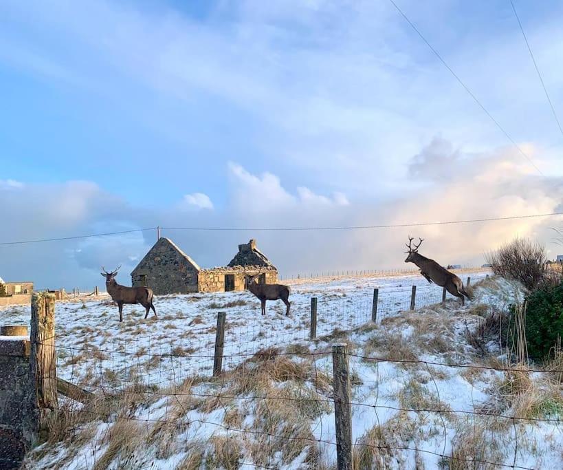 Holiday home Nᴼ 21 Beautiful Cosy Modern Traditional